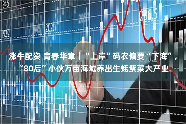 漲牛配資 青春華章｜“上岸”碼農(nóng)偏要“下海”，“80后”小伙萬畝海域養(yǎng)出生蠔紫菜大產(chǎn)業(yè)